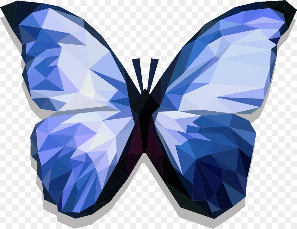 Butterflies Swarm, Accessories, Diamond, Gemstone, Jewelry Png Image