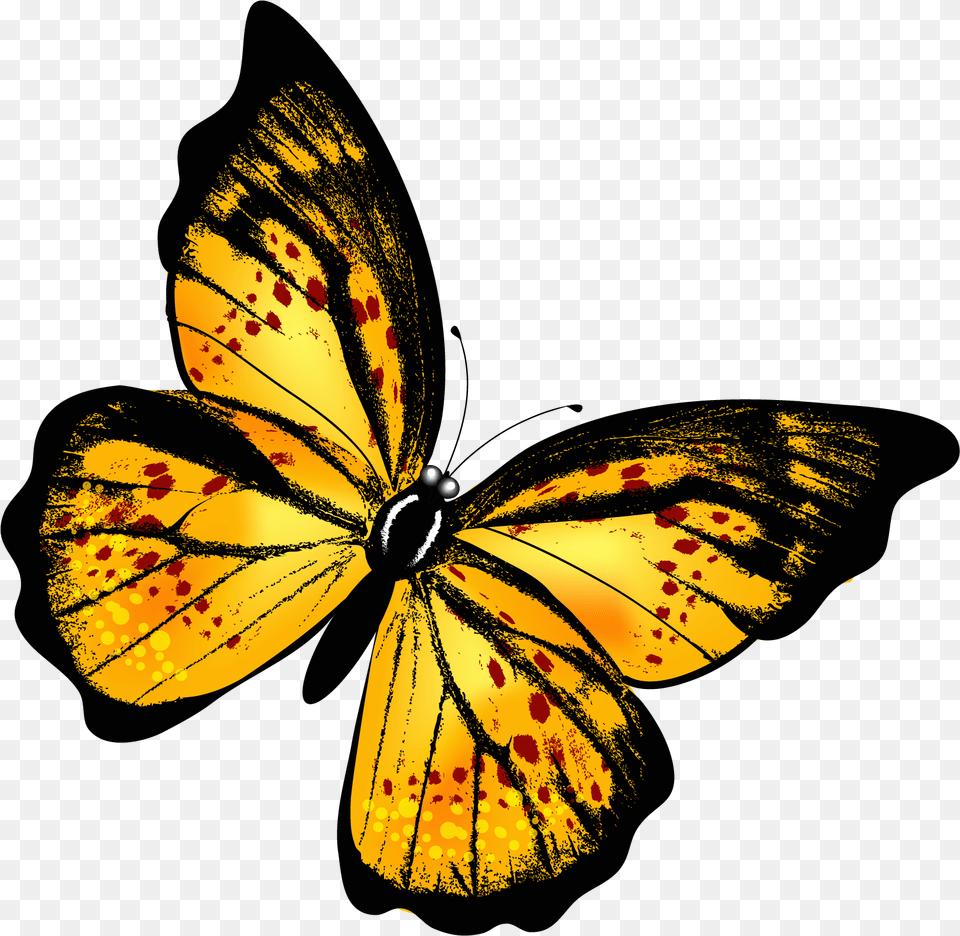 Butterflies Transparent 3 Image Yellow Butterfly, Animal, Insect, Invertebrate Png