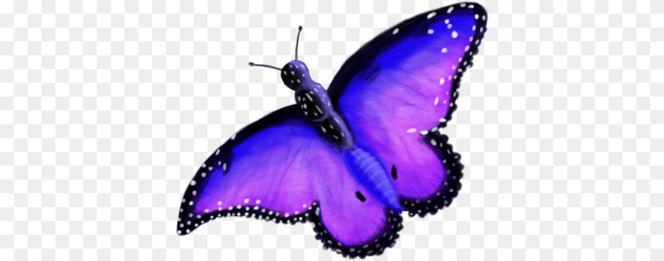 Butterflies Enchanted Enchanted Butterfly, Purple, Appliance, Blow Dryer, Device Free Transparent Png