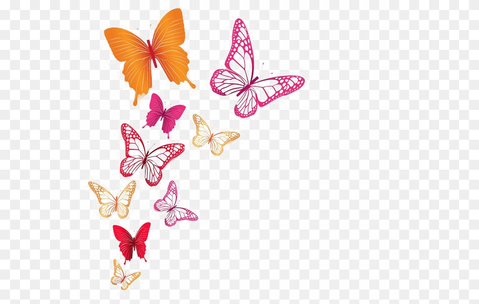 Butterflies Images, Pattern, Art, Graphics, Floral Design Free Transparent Png
