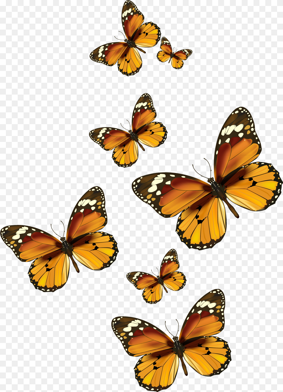 Butterflies Vector Clipart Pictureu200b Gallery Painted Lady Butterfly Clip Art, Animal, Insect, Invertebrate, Monarch Free Png Download