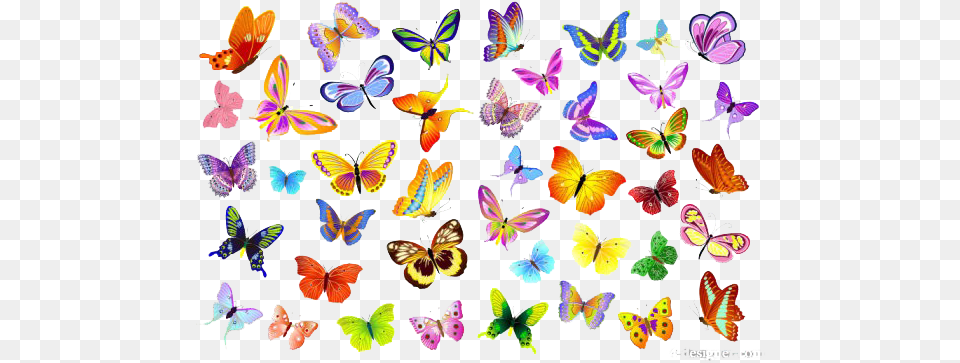 Butterflies Vector File Butterflies Vector, Plant, Animal, Butterfly, Insect Free Png