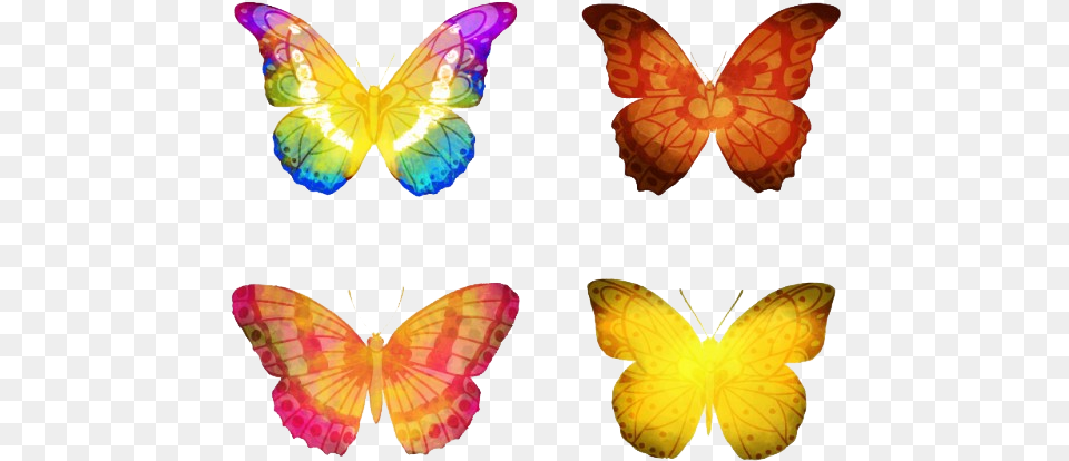 Butterflies Vector Hd Butterfly Vector Hd, Animal, Insect, Invertebrate Free Png Download