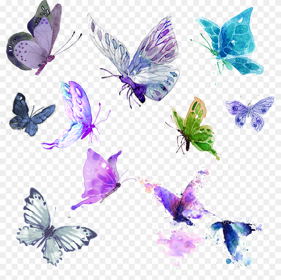 Butterflies Watercolor Teal Purple Green Teal Watercolor Butterflies, Art, Collage, Plant, Flower Free Transparent Png