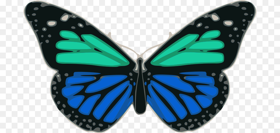 Butterfly 02 Turquoise Blue, Animal, Insect, Invertebrate Png