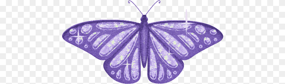 Butterfly 1 Flying Transparent Butterflies Gif, Animal, Accessories Png Image