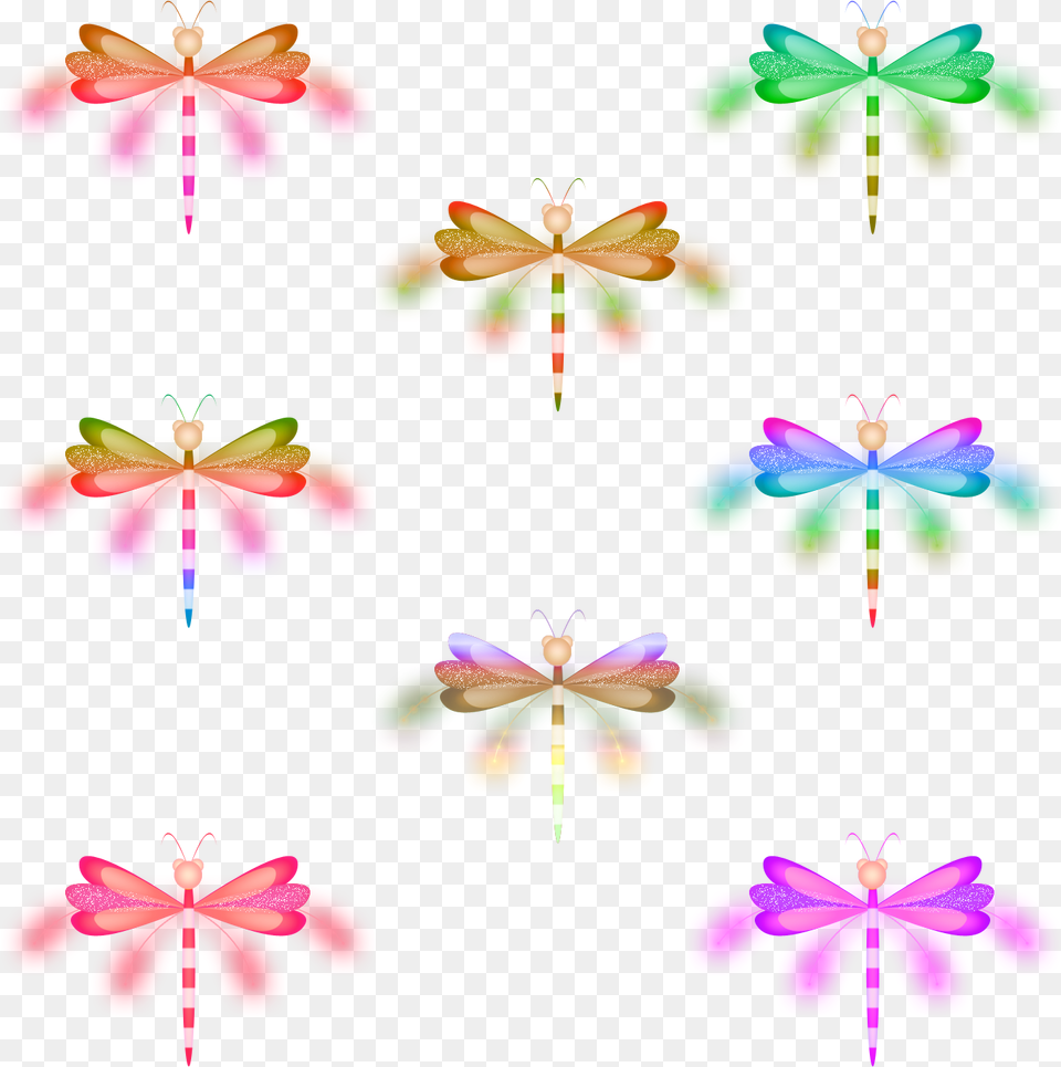 Butterfly, Flower, Plant, Petal Free Png Download