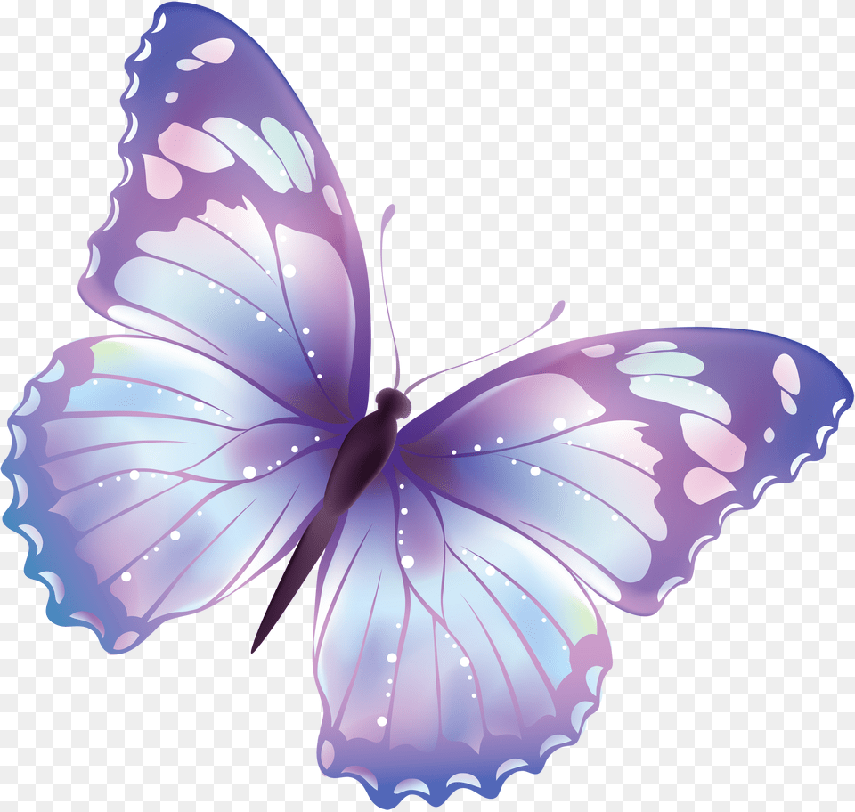 Butterfly, Flower, Plant, Animal, Insect Png