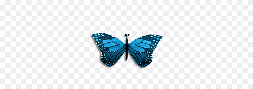 Butterfly Accessories, Jewelry, Animal, Insect Png Image