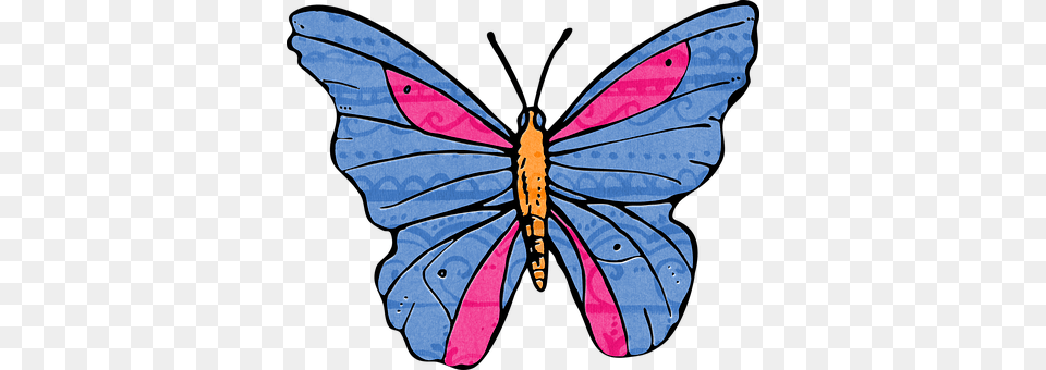 Butterfly Animal, Insect, Invertebrate Free Png Download