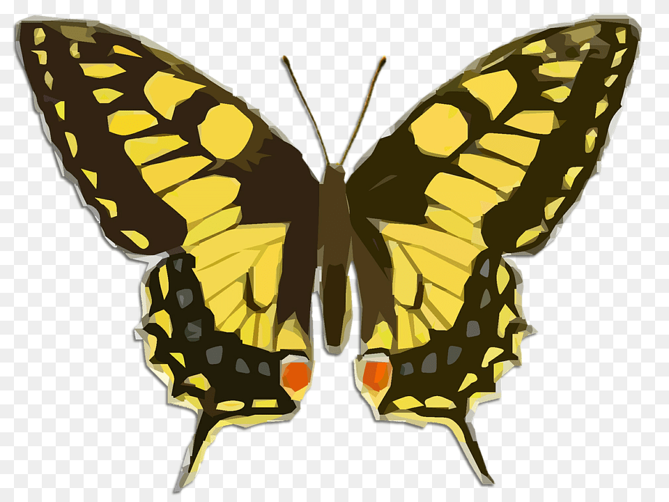 Butterfly Animal, Insect, Invertebrate, Person Png