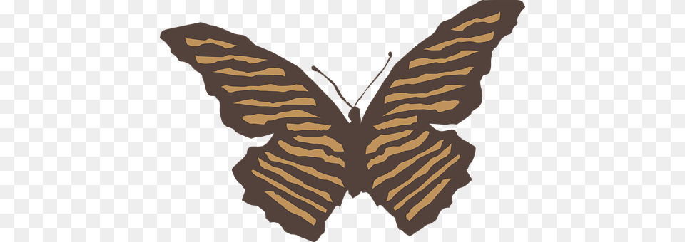 Butterfly Person, Animal, Insect, Invertebrate Png