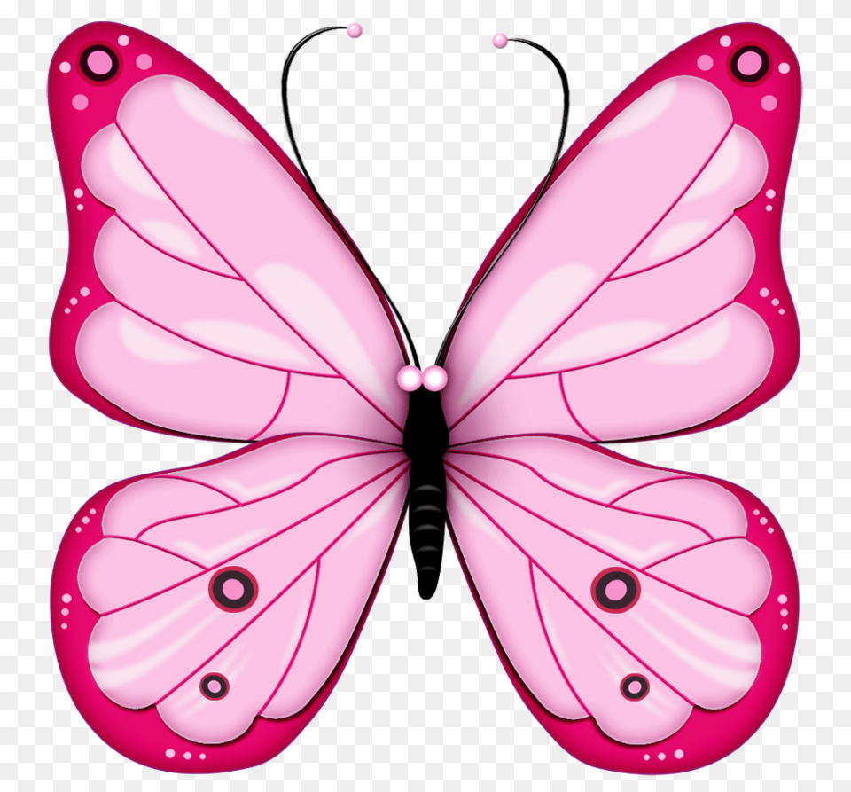 Butterfly, Animal, Insect, Invertebrate Png