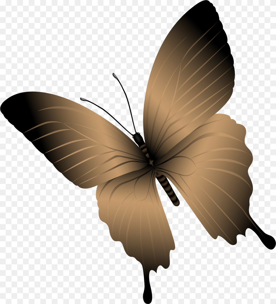 Butterfly, Animal, Insect, Invertebrate, Appliance Free Png