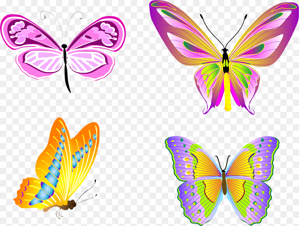 Butterfly, Art, Graphics, Purple, Invertebrate Png Image