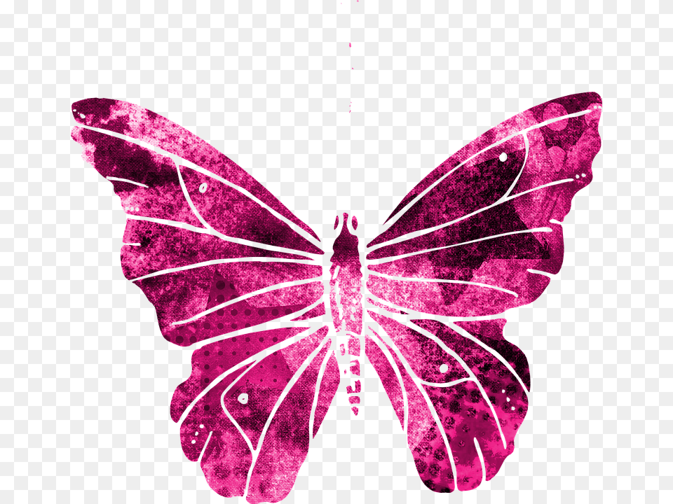 Butterfly Purple, Animal, Insect, Invertebrate Png