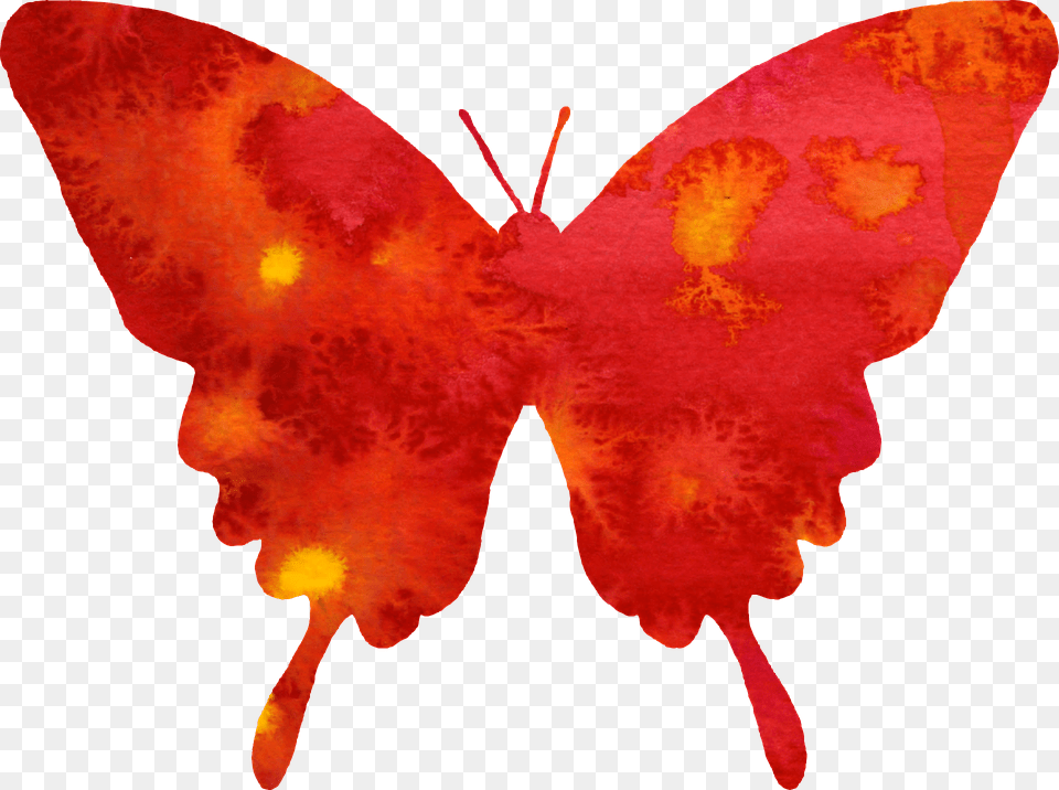 Butterfly Accessories, Person Free Png Download