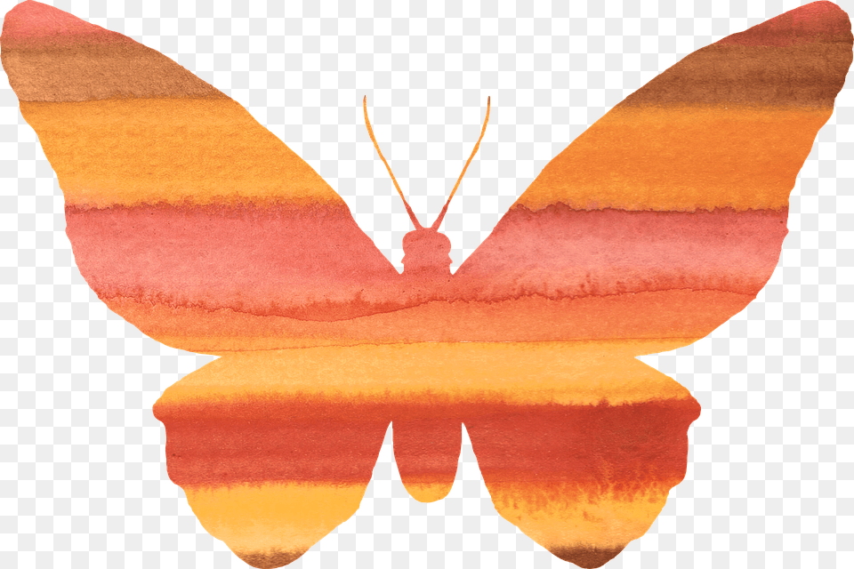Butterfly Animal, Insect, Invertebrate, Person Png Image