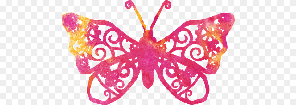 Butterfly Accessories, Person, Animal Free Transparent Png