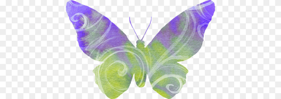 Butterfly Accessories, Art, Purple, Jewelry Free Png Download