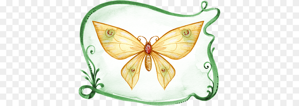 Butterfly Art, Floral Design, Graphics, Pattern Free Png