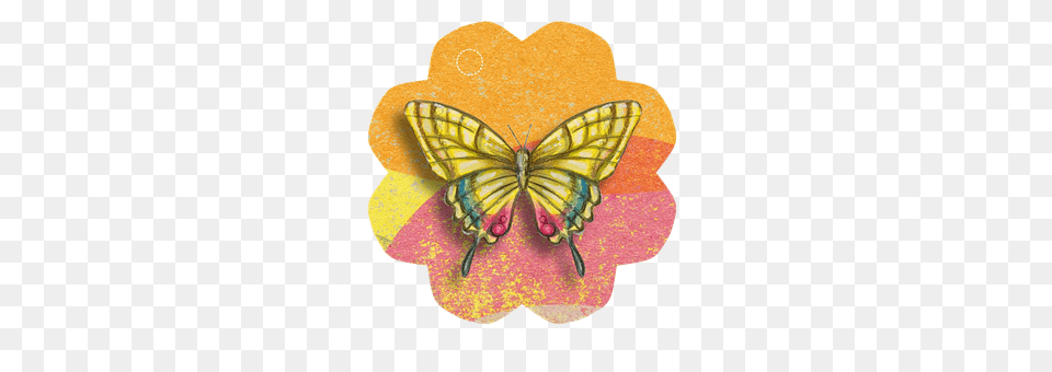 Butterfly Accessories, Art, Jewelry Free Png