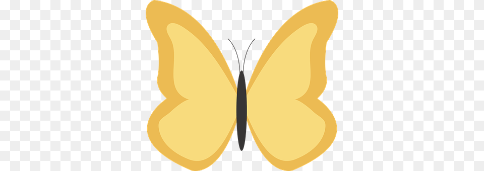 Butterfly Animal, Insect, Invertebrate Png