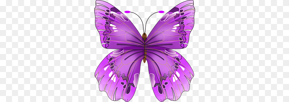 Butterfly Purple, Art, Graphics, Animal Png