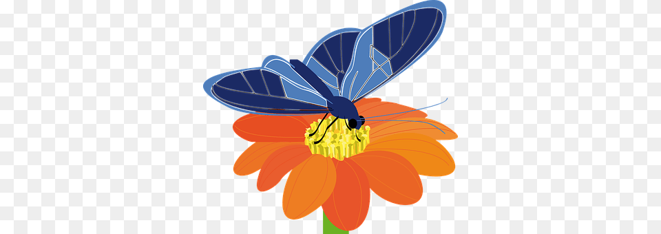 Butterfly Animal, Plant, Invertebrate, Insect Free Png