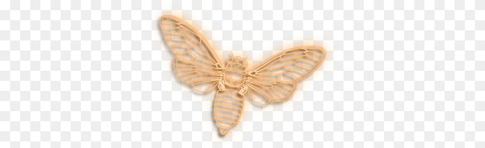 Butterfly 16 Background Portable Network Graphics, Animal, Insect, Invertebrate, Moth Free Transparent Png