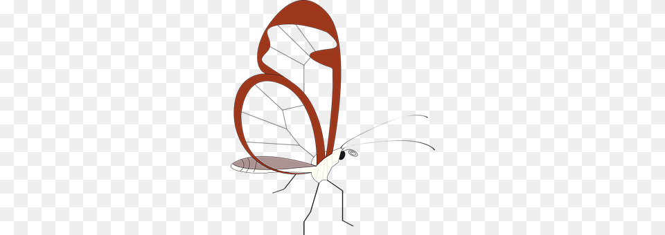 Butterfly Animal Free Transparent Png