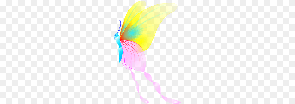 Butterfly Art, Graphics, Animal Png