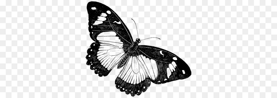 Butterfly Art, Chandelier, Lamp, Drawing Free Transparent Png