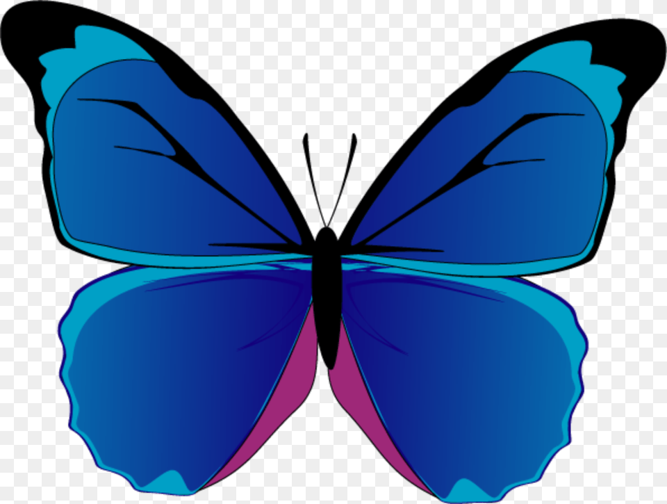 Butterfly, Animal, Art, Fish, Graphics Png Image
