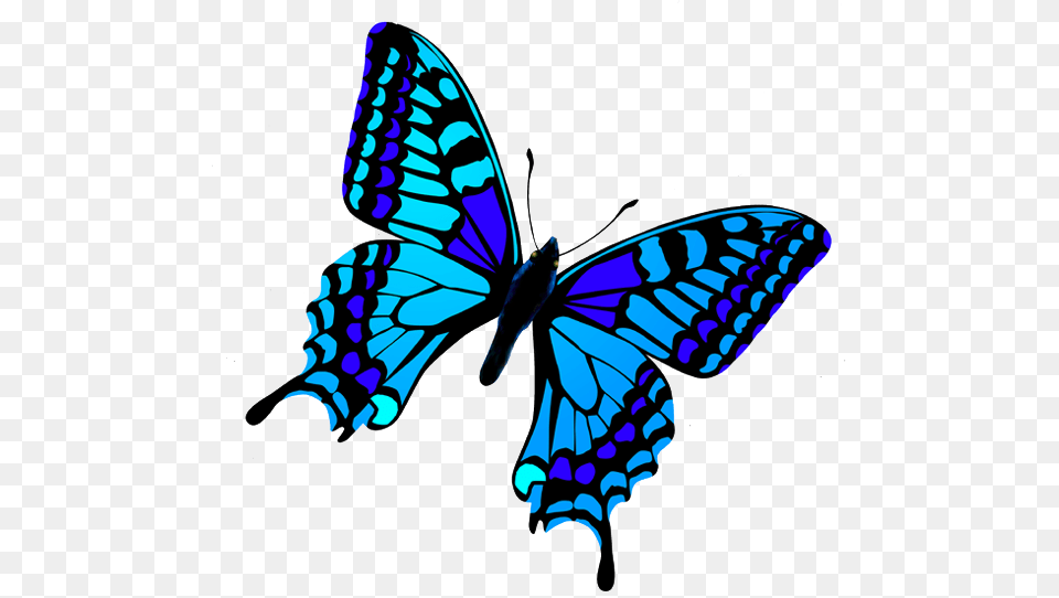 Butterfly, Animal, Insect, Invertebrate Png Image
