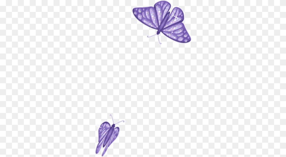 Butterfly 2 Butterfly Background Gif, Flower, Petal, Plant, Purple Png