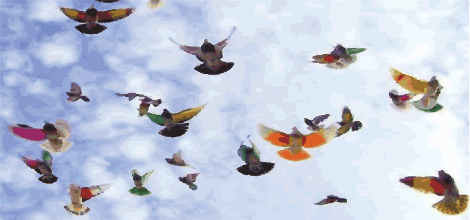 Butterfly 2025, Animal, Bird, Flying, Person Free Png Download