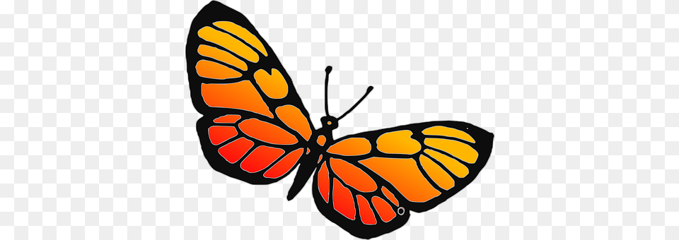Butterfly Animal, Insect, Invertebrate, Monarch Free Png