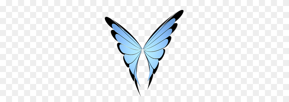 Butterfly Animal, Bird, Flying, Art Free Transparent Png