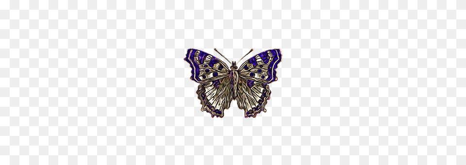 Butterfly Accessories, Jewelry, Locket, Pendant Free Png