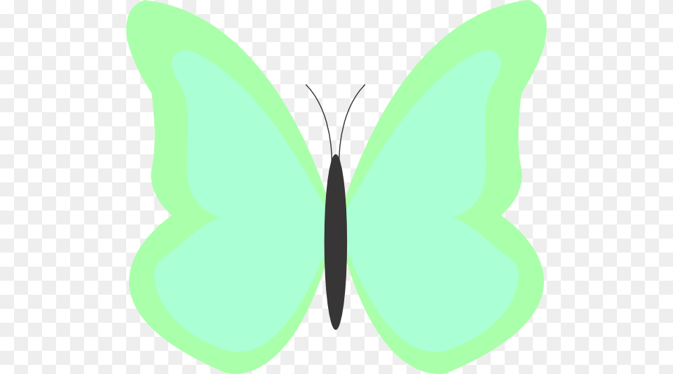 Butterfly, Plant, Leaf, Animal, Knife Png Image