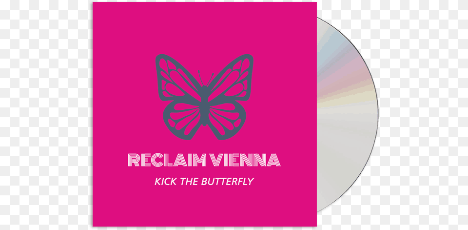 Butterfly Free Png Download