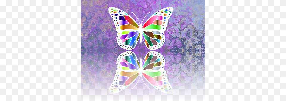 Butterfly Art, Graphics, Purple, Floral Design Png