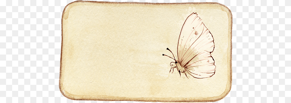 Butterfly Art Png Image