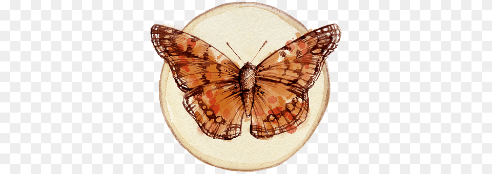 Butterfly Animal, Insect, Invertebrate, Home Decor Free Png
