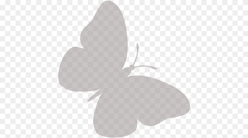 Butterfly, Flower, Petal, Plant, Animal Free Png Download