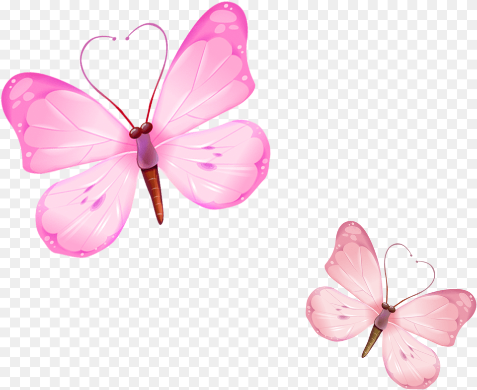 Butterfly, Anther, Flower, Geranium, Petal Png Image