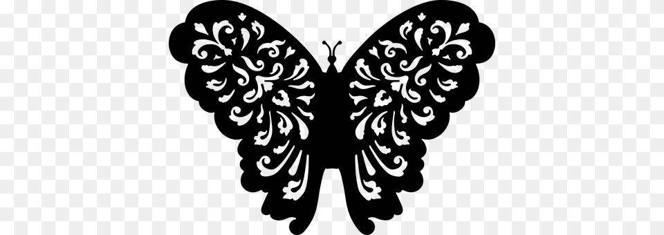 Butterfly Gray Free Transparent Png