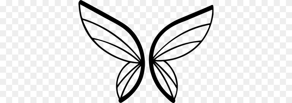 Butterfly Gray Png Image