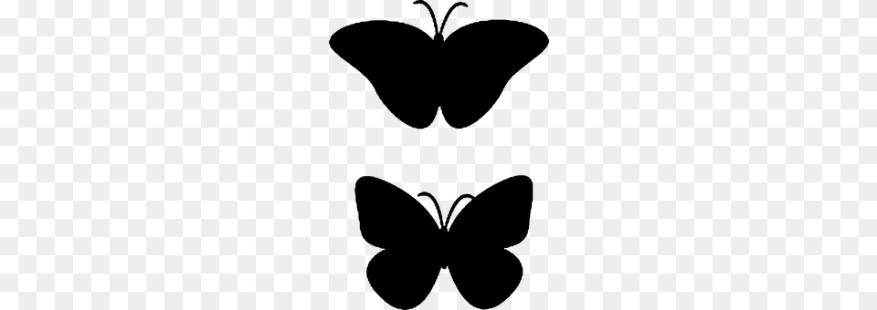 Butterfly Gray Free Transparent Png